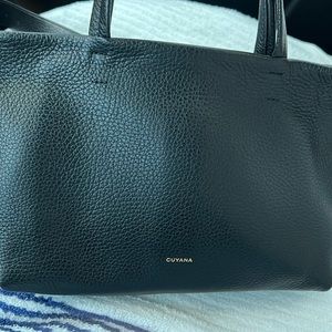 Cuyana Mini Easy Zipper Tote